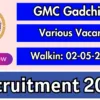 mah nokari, majhi naukari 2025,